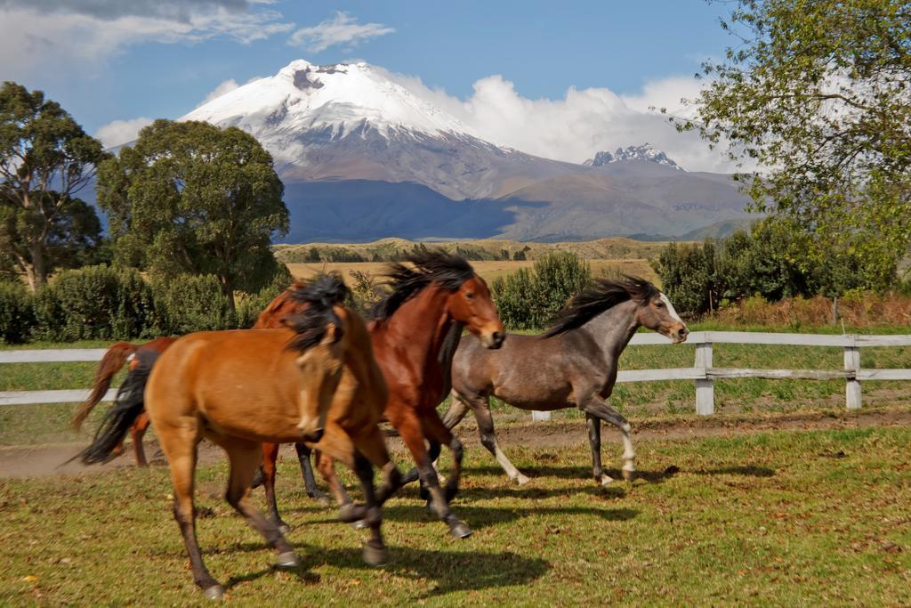 Hacienda San Agustin de Callo Lasso Buitenkant foto